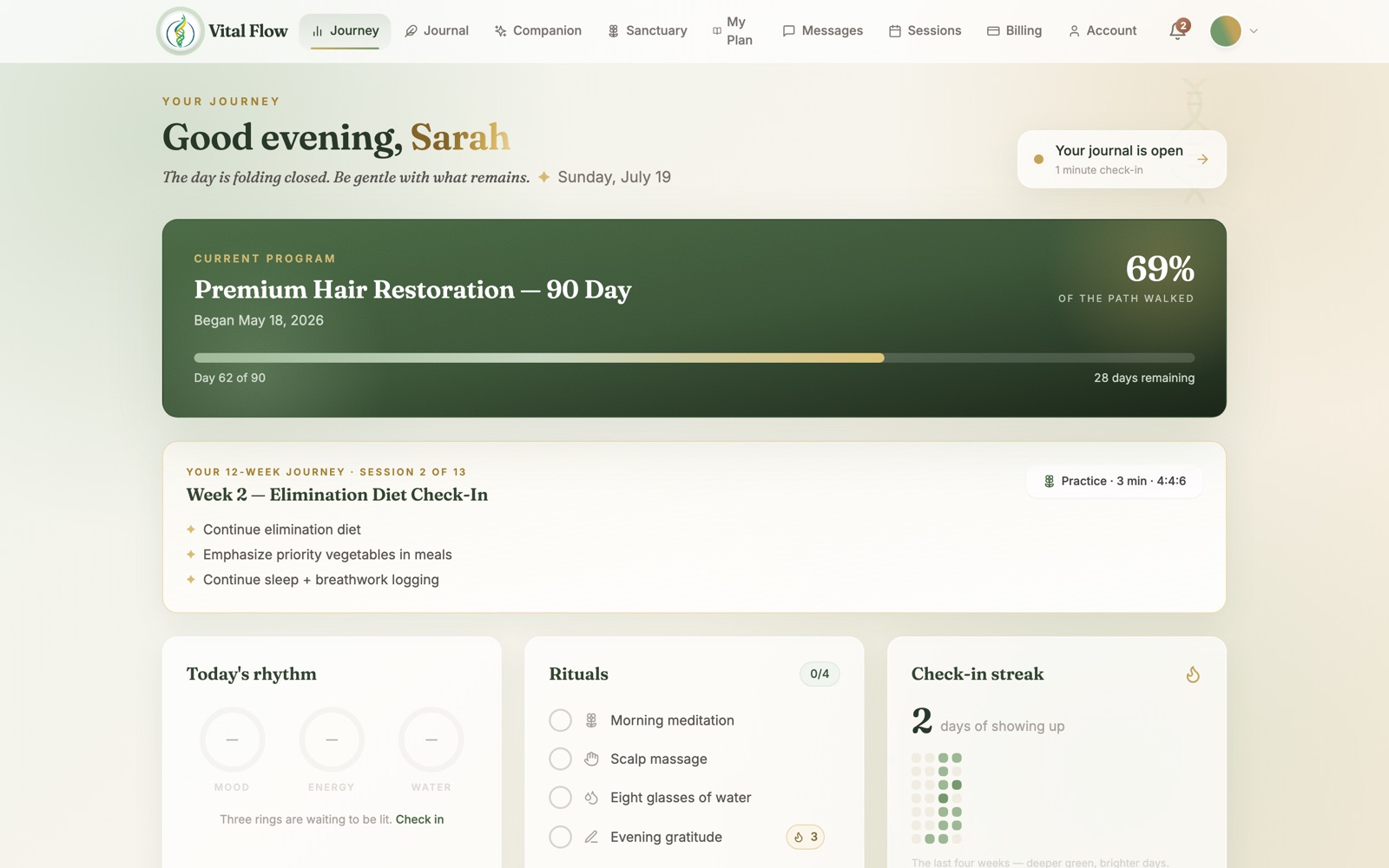 The Vital Flow client portal dashboard