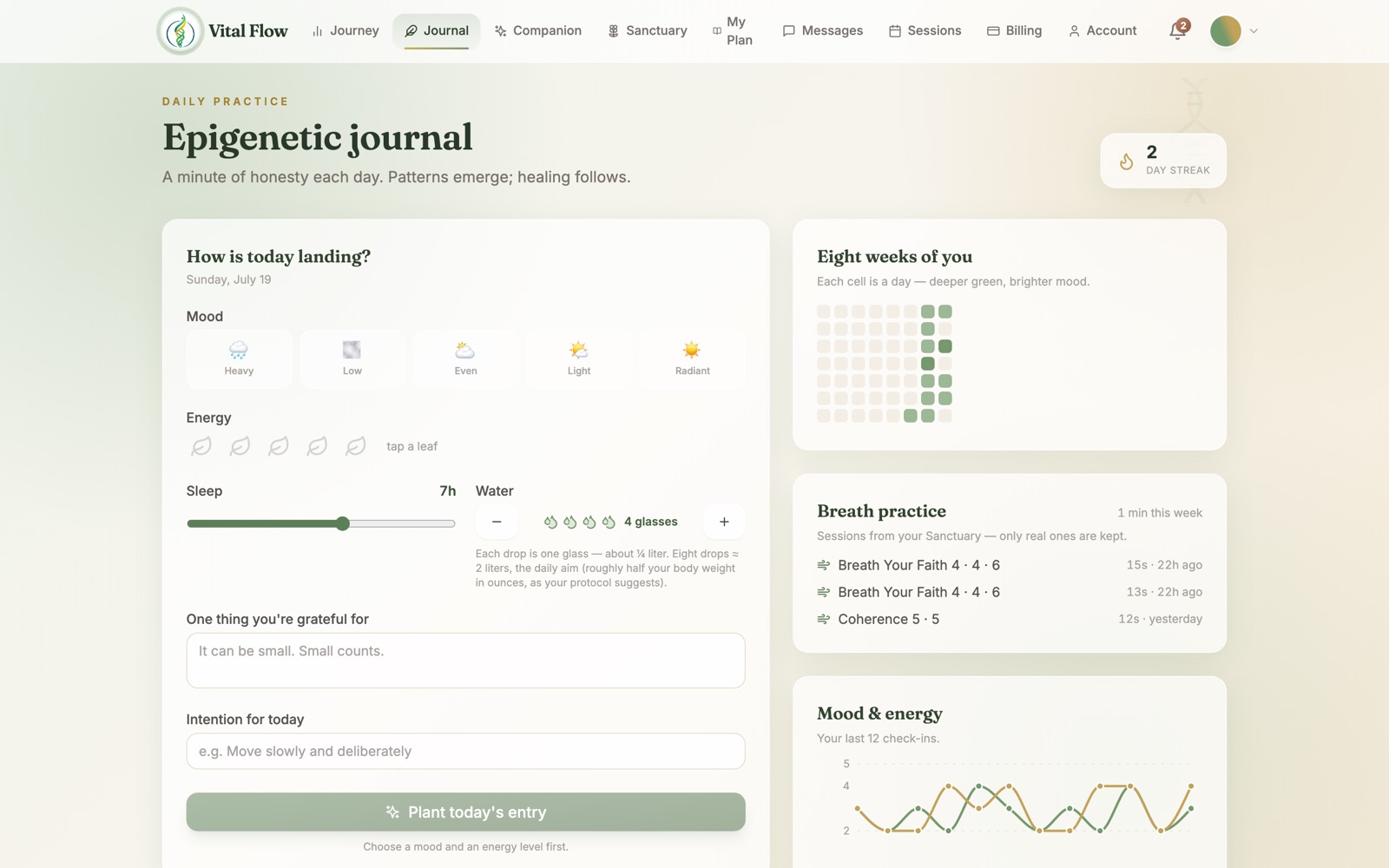 Daily journal and check-in in the Vital Flow portal