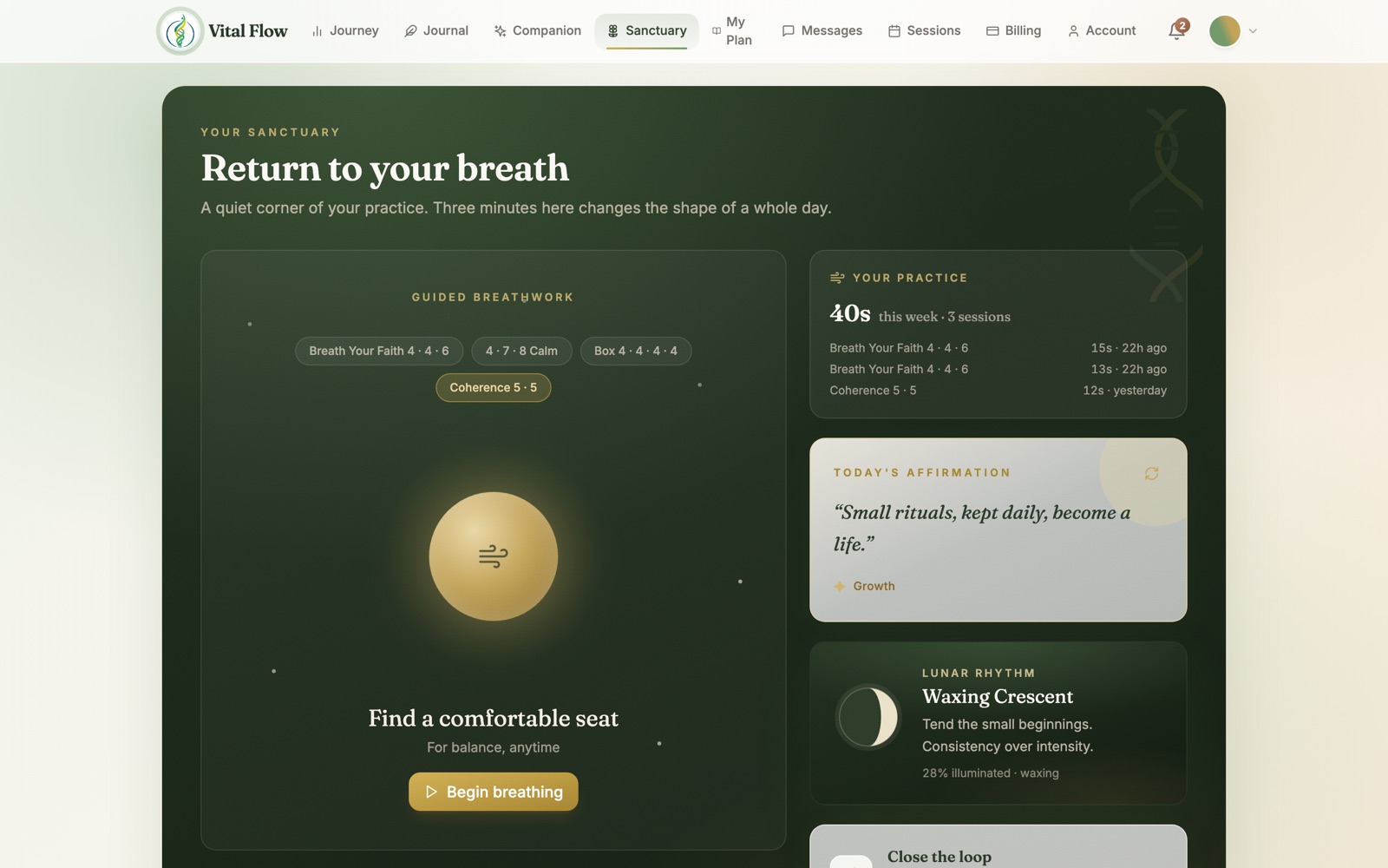 Guided breathwork in the Vital Flow Sanctuary
